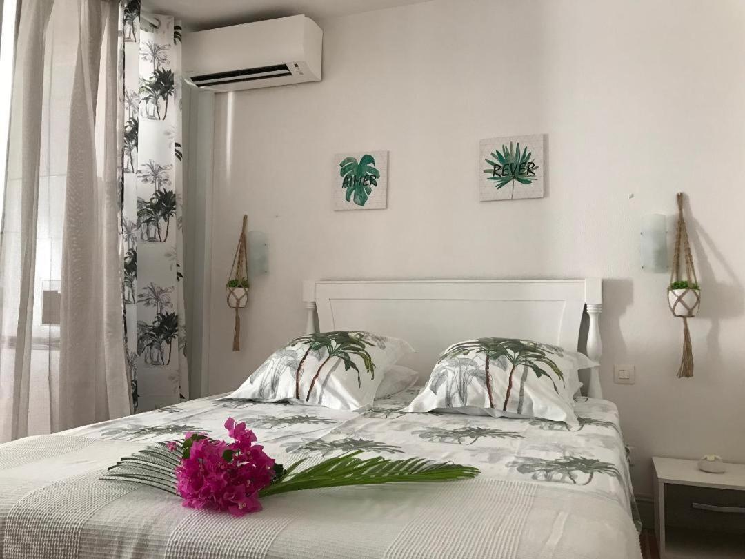 Coeur Tiare Studio Lounge Piscine Plage Cocotiers Saint-Francois  Dış mekan fotoğraf